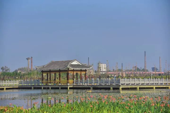 1542677980953714.jpg 640 (10)_結(jié)果-6ca82c51-14cc-4a29-aa0f-45374a3a99ba.jpg