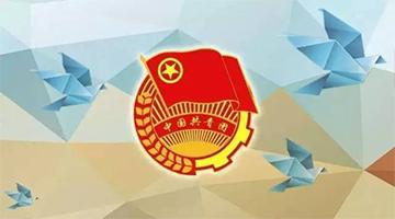 博世科團(tuán)委簡(jiǎn)介