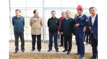 湖北生態(tài)環(huán)境廳黨組成員、副廳長(zhǎng)李瑞勤調(diào)研公司農(nóng)用地修復(fù)項(xiàng)目
