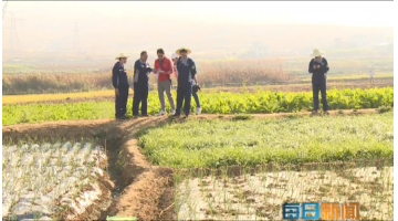 《每日新聞》：個(gè)舊市雞街鎮(zhèn)倘甸雙河流域土壤改良修復(fù)示范項(xiàng)目進(jìn)展順利