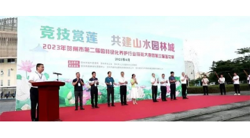 生態(tài)之美 | 賀州市愛(ài)蓮湖公園成“打卡地”