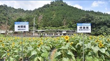 農(nóng)田修復