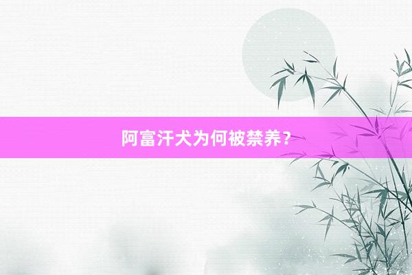 阿富汗犬为何被禁养?